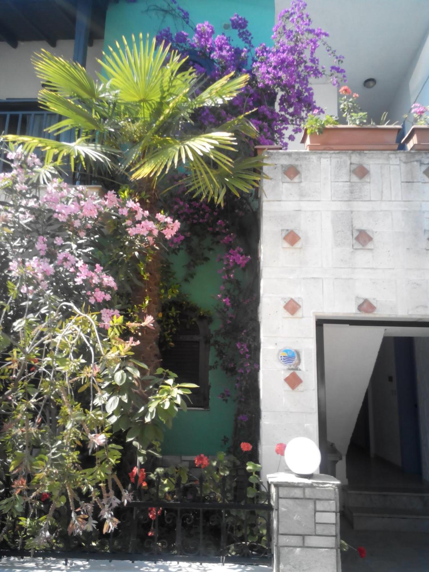Tassos 2 Pefkochori Exterior foto
